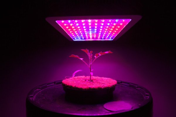 Weed in space is going to be a thing now. Space Tango is developing experiments on how the zero gravity environment could affect cannabis cultivation.