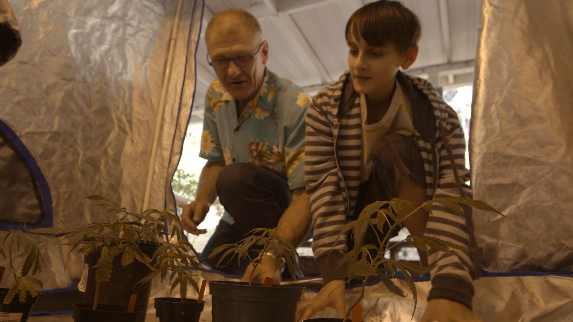 'Weed the People’ Explores Medical Marijuana for Kids With Cancer