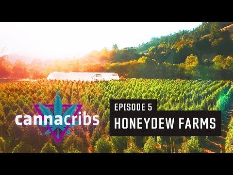 1st California Recreational Cannabis Farm (S1E5: Honeydew Farms, Humboldt)