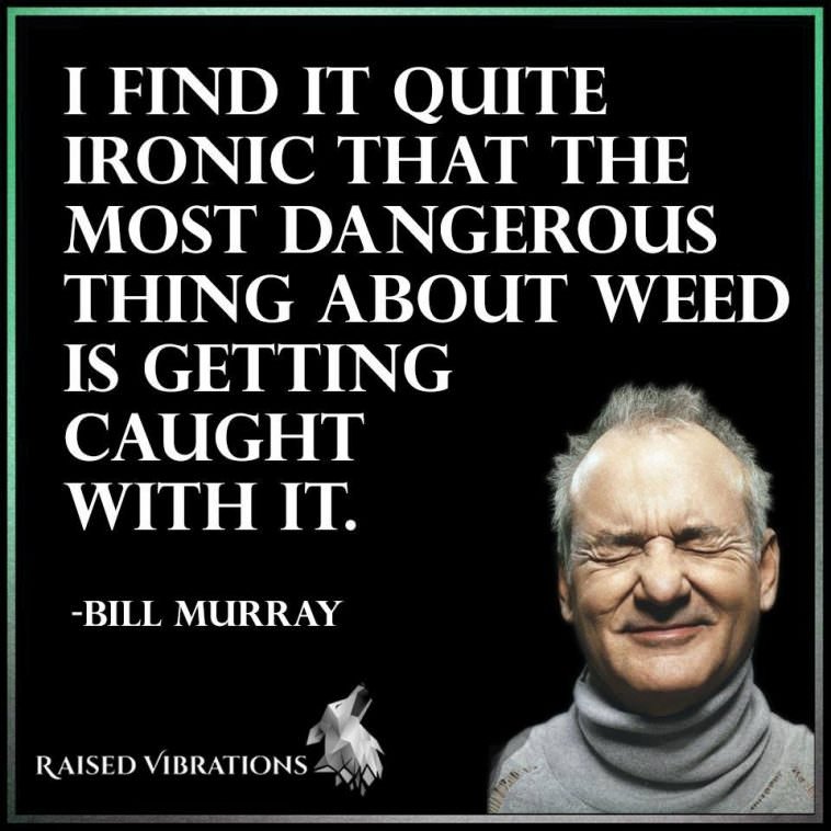 Bill Murray Wise Words of Wisdom