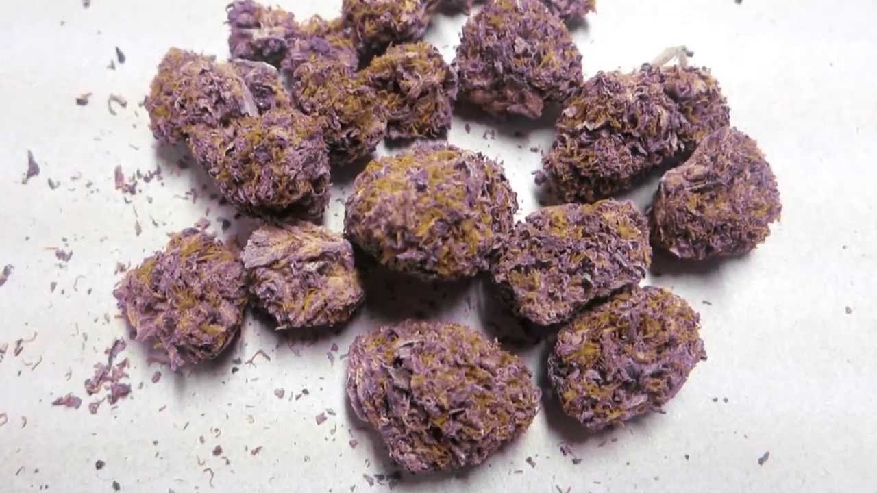Buy Purple Urkle kush online