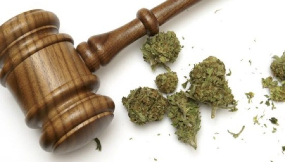 Cannabis Grower Wins Lawsuit Against Landowners Over Strong Smell