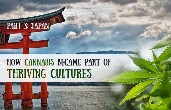 How Cannabis Became Part of Thriving Cultures: Part 3 - Japan