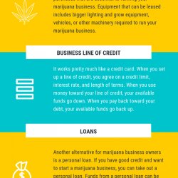 How to get Financing for Your Marijuana Business