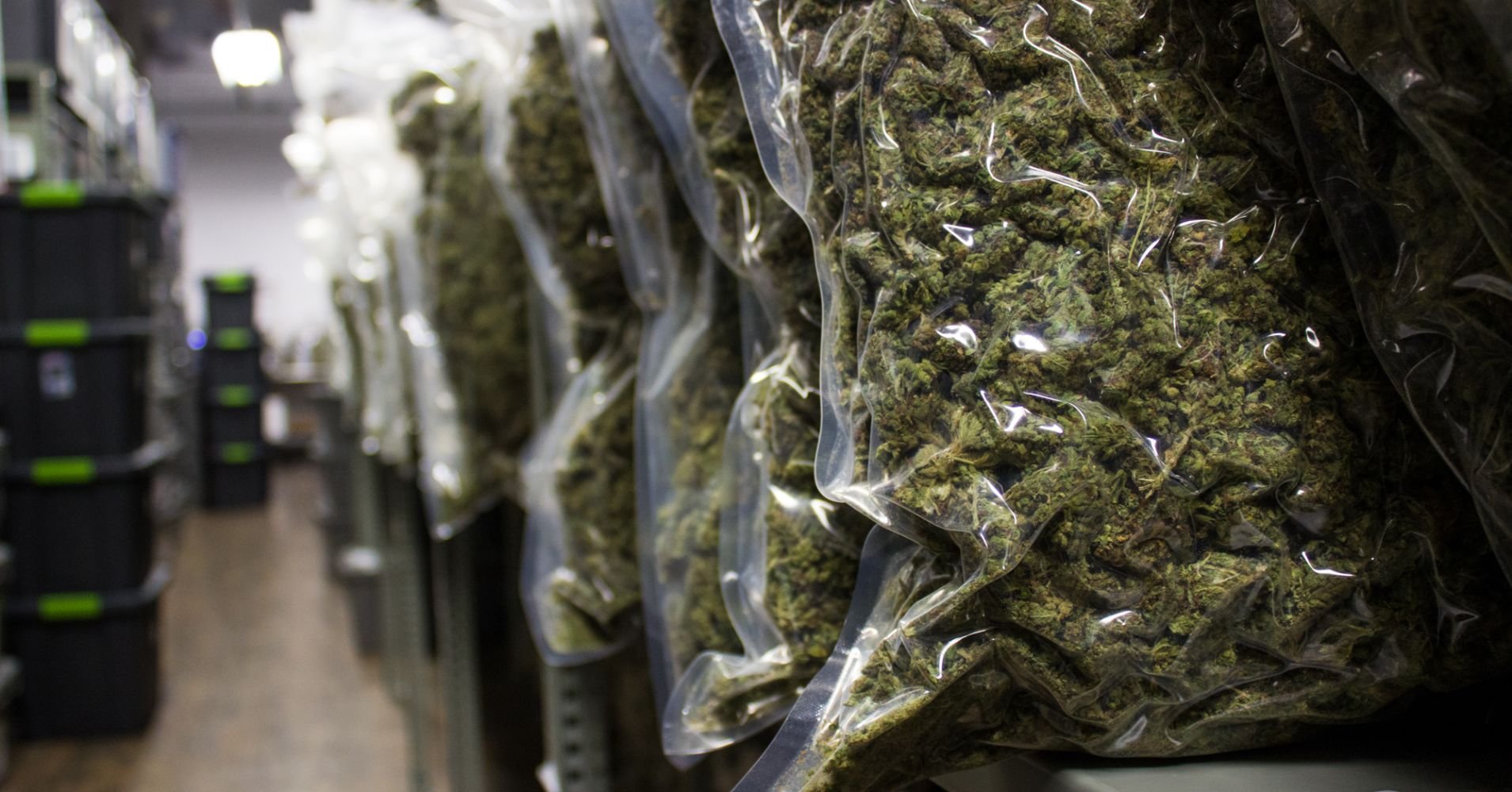 Latest states turning to legal marijuana for tax revenue aren't charging enough, critics say
