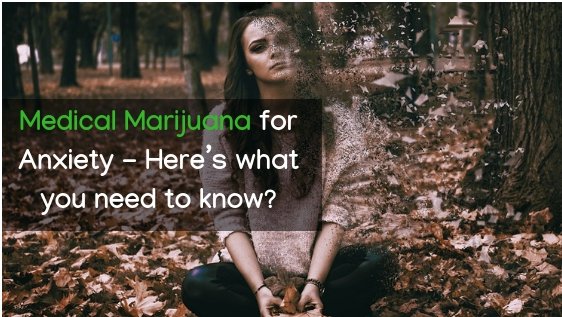 Medical marijuana for Anxiety – Here’s what you need to know?