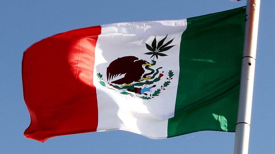 Mexican Supreme Court Rules That Cannabis Prohibition Is Unconstitutional