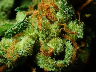 Michigan's Recreational Marijuana Law Kicks In Dec. 6