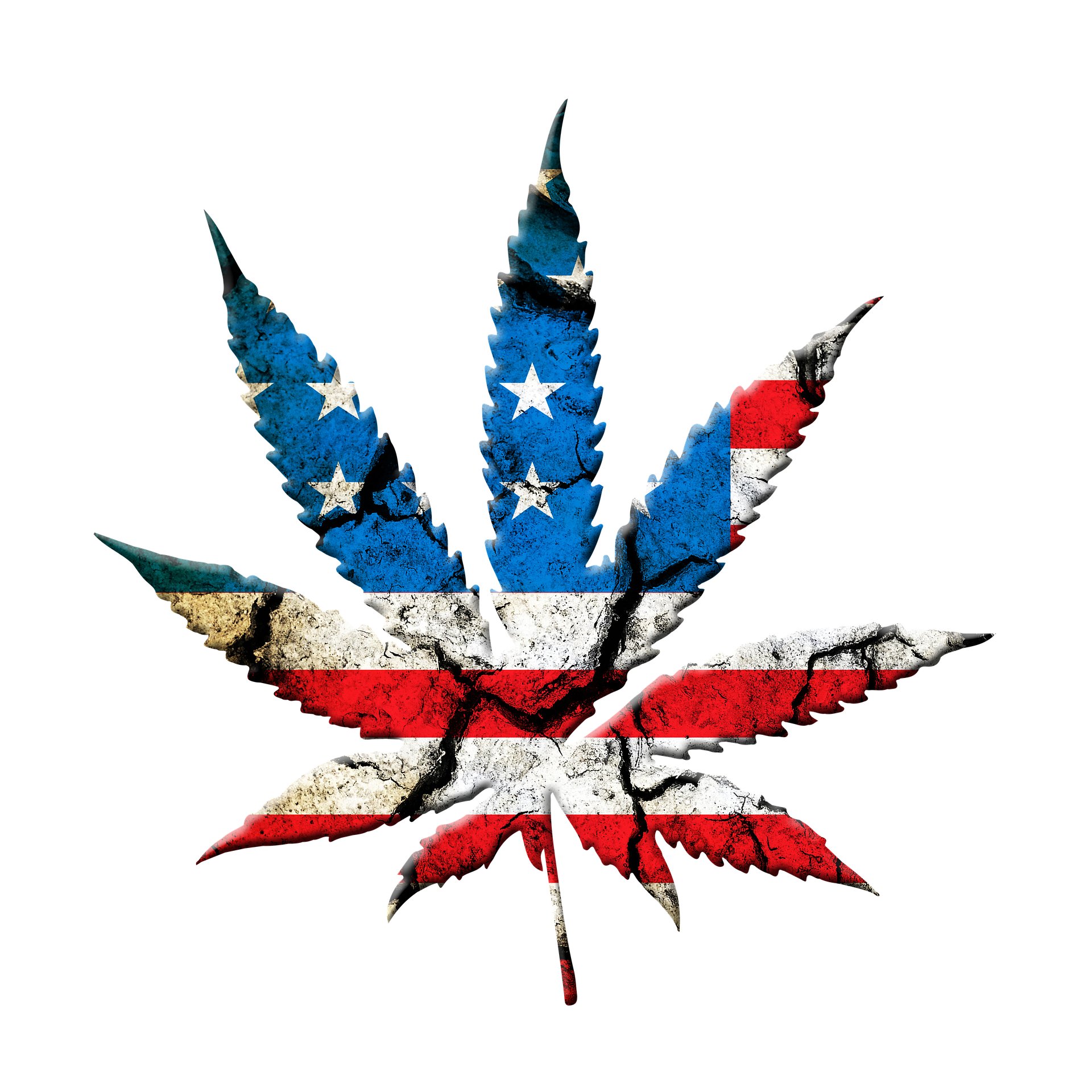 News over this past week will accelerate #marijuanalegalization in the US. #Mexico legalized #cannabis, #Democrats took back the House & #JeffSessions resigned.