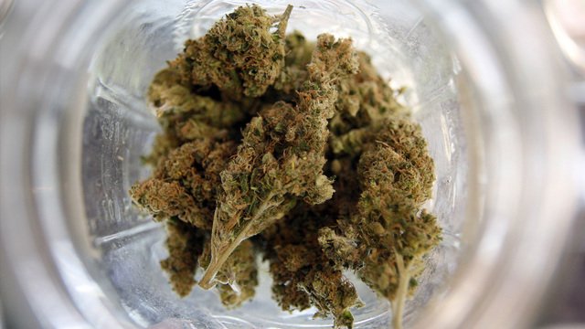 Report: NC lawmakers to talk marijuana legalization this week