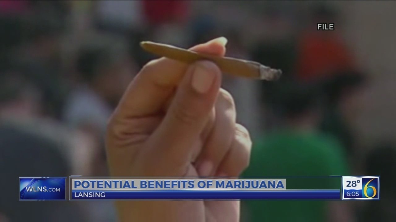 The potential benefits of legalized marijuana