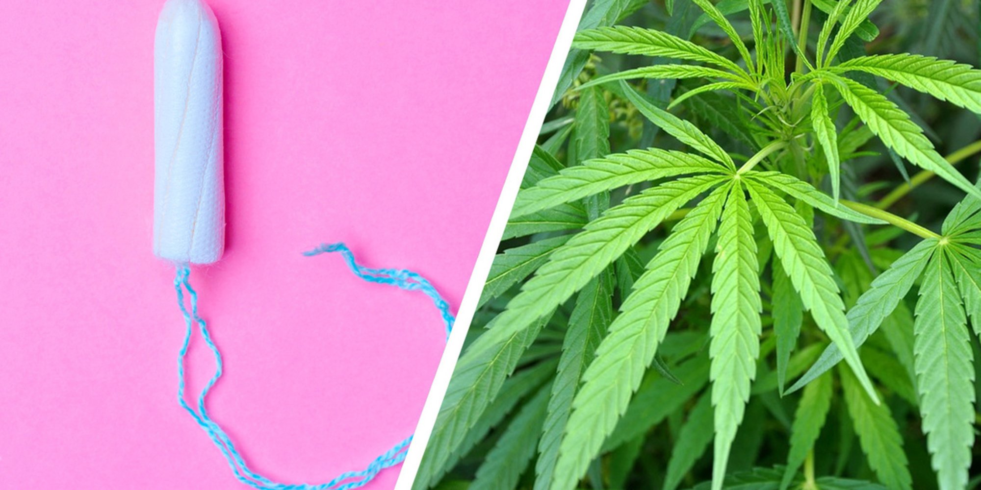 400 women will use 'weed tampons' for Harvard cannabis study