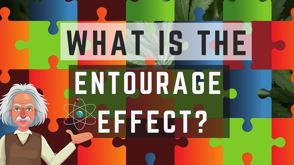 Again, most people focus on the most popular parts of the hemp plant - CBD/THC. The Entourage Effect has been hotly disputed. Have you heard of it and what do you think?