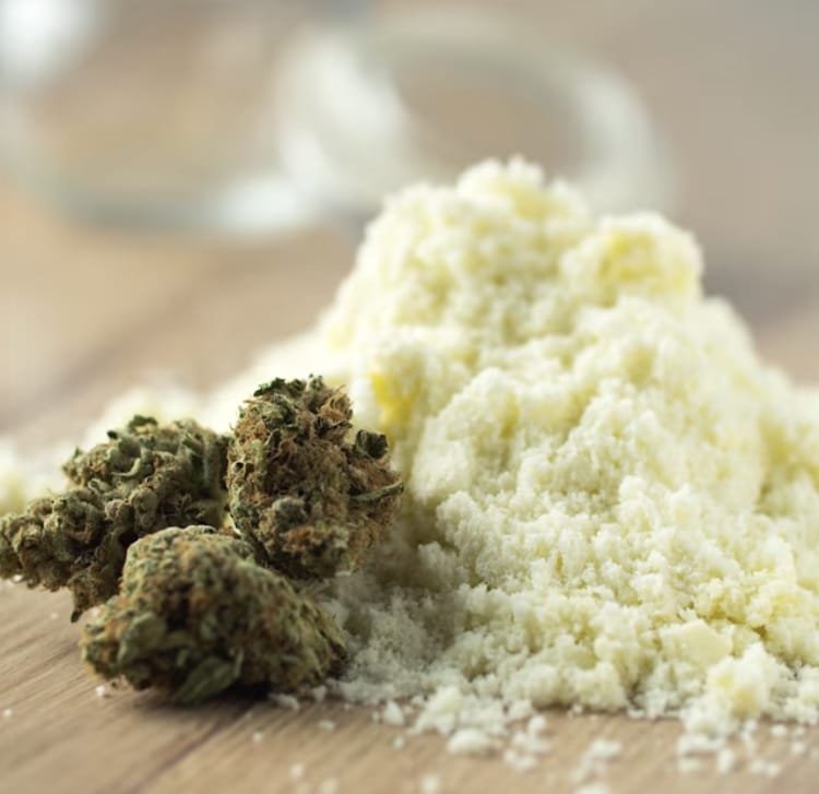 Edible marijuana high kicks in 3 times as fast using cannabis oil powder