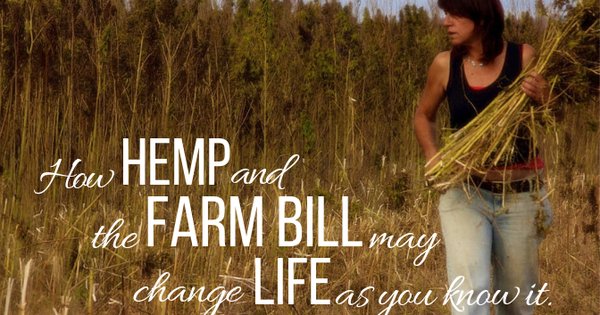 How Hemp and The Farm Bill May Change Life as You Know It