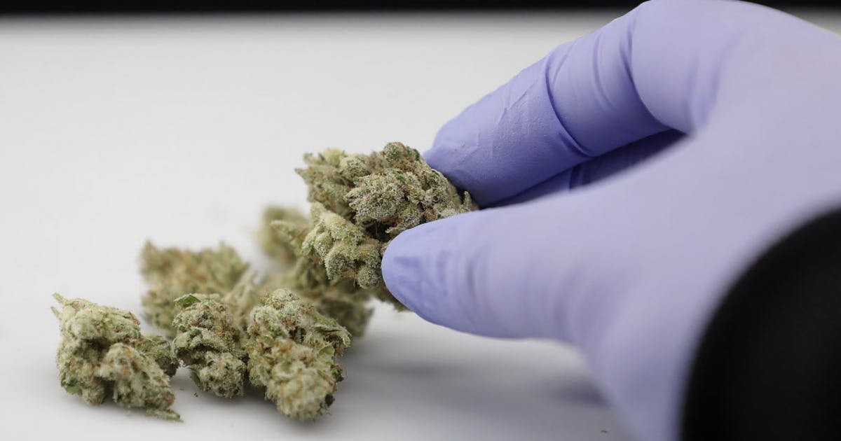 Minnesota regulators add Alzheimer's disease to the list of conditions that qualify patients for medical marijuana