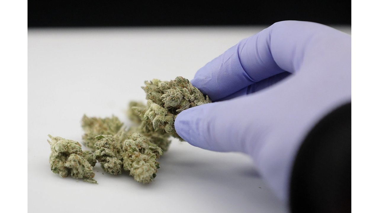 So, more CA pot passing safety tests