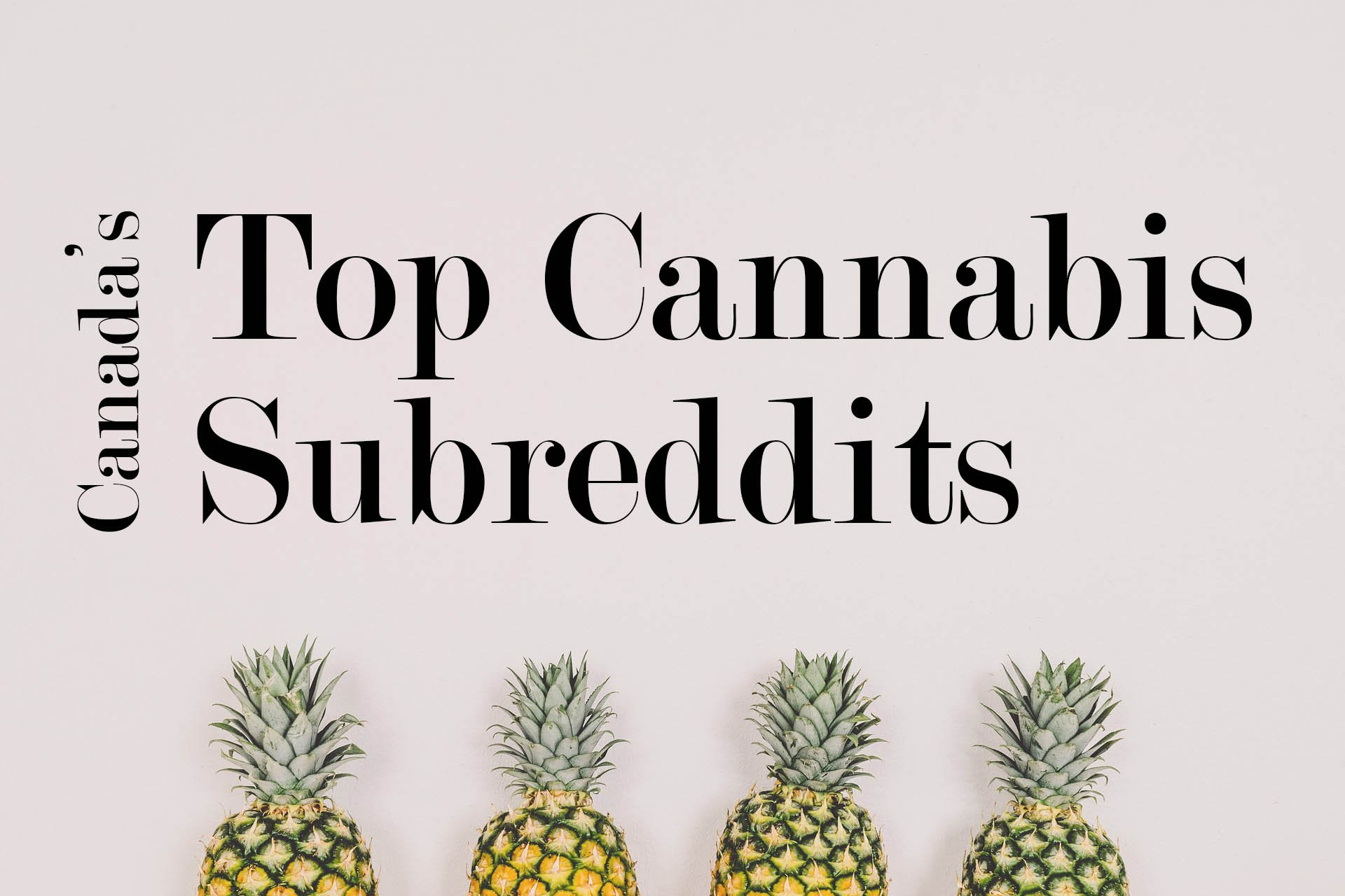 The Best Cannabis Subreddits