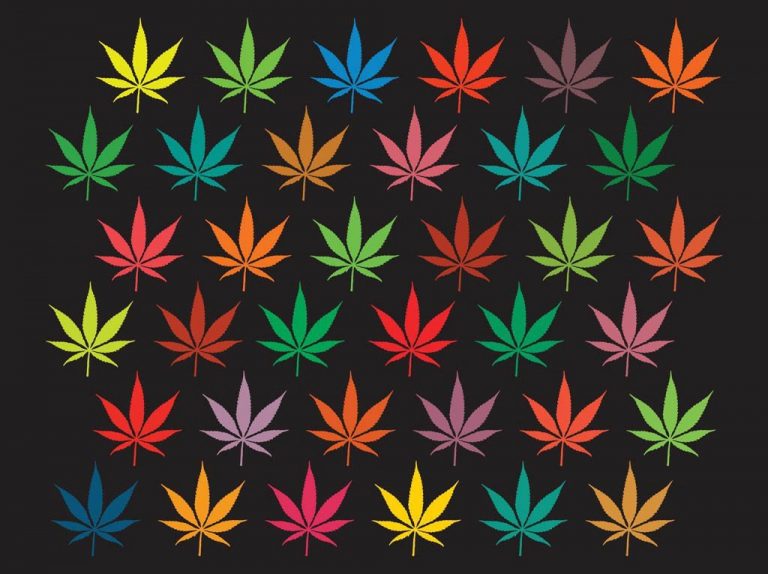 When will Illinois legalize marijuana? – Gather Activism – Medium