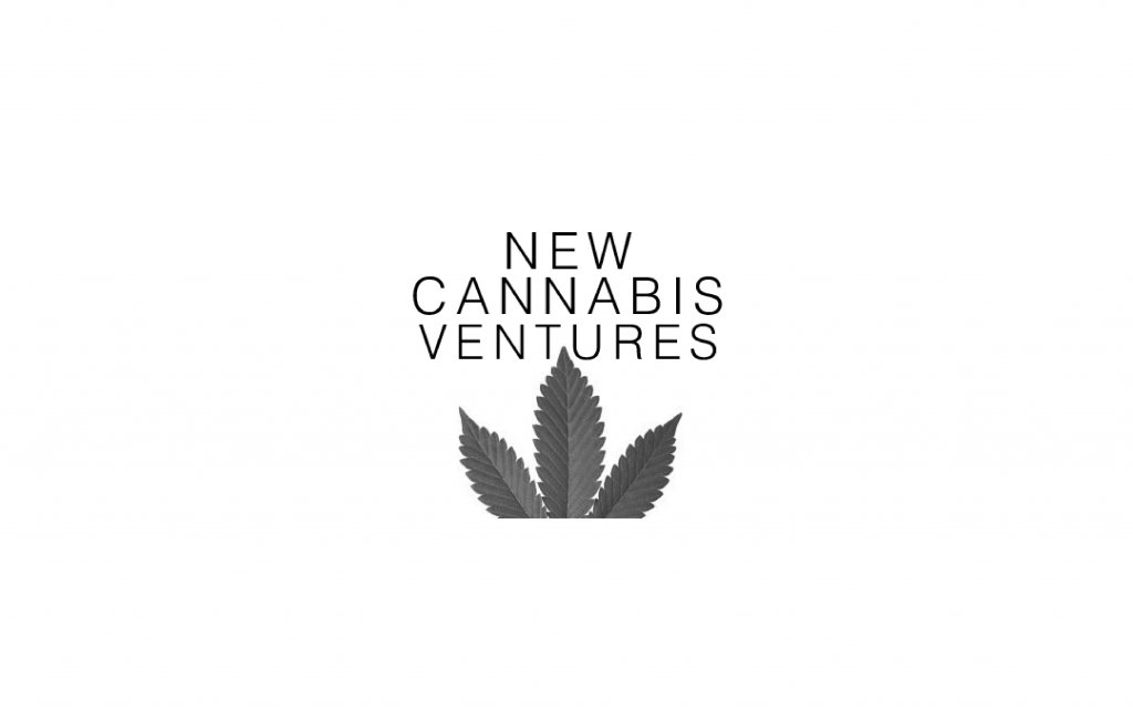 An Interview with Alan Brochstein (New Cannabis Ventures) - The Green Scene Podcast