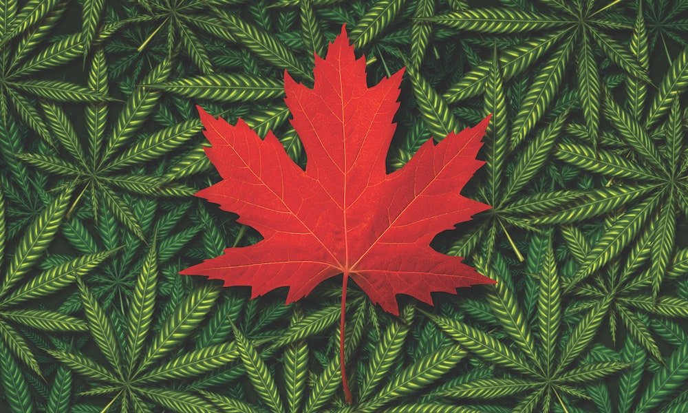 Canadian campsite and park rules for cannabis consumption.