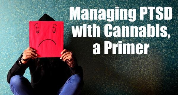 I just published an article on Managing PTSD with Cannabis!