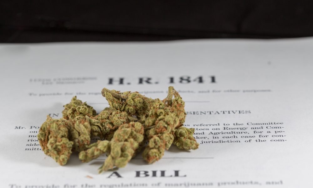 Read Congress’s New H.R. 420 Marijuana Bill