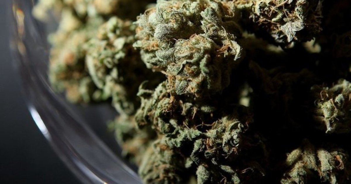 Study: Medical marijuana preferred over prescription drugs