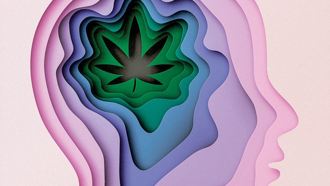 ‘Opinion’ piece about the effects of marijuana. Curious to read people’s opinion on this article and content