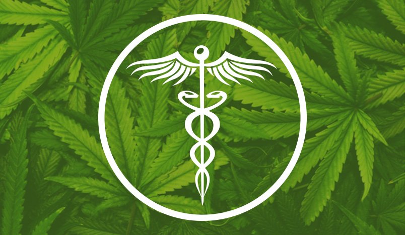 Cancer Institute has shown that THC kills cancer cells