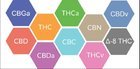 Cannabinoids Forum: Learn About and Discuss Cannabinoids, Cannabis and Terpenes