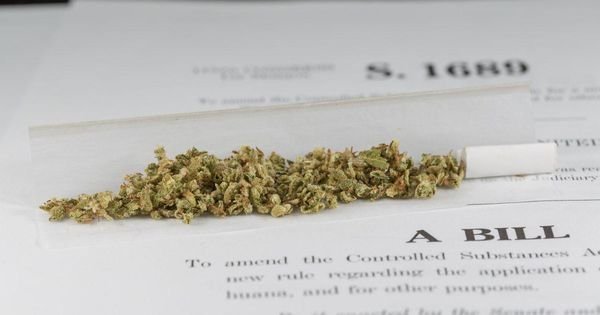Feds Would Tax Marijuana Under New Senate Bill Actually Numbered S. 420
