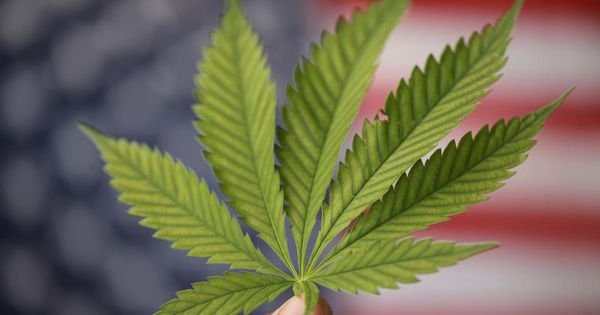 Marijuana legalization bills are advancing in multiple states currently, 2019 is shaping up to be a big year for the industry.