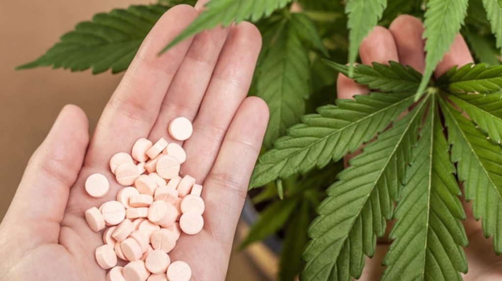 More Than Half Quit Using Prescription Drugs After Using Cannabis and CBD Products