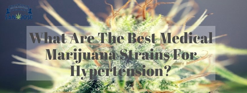 Qualify For MMJ Strains For Hypertension With San Jose 420 Evaluations