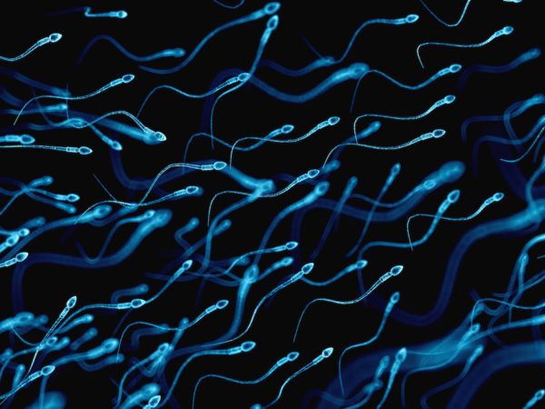 Smoking Marijuana Linked to Better Sperm Counts in Surprising Study