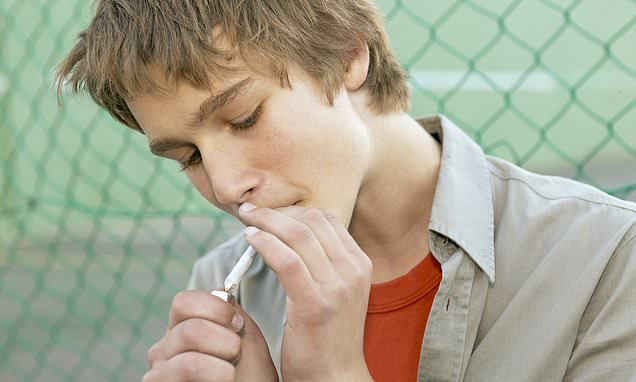 Teens smoke LESS weed in states where medical marijuana is legal, study finds