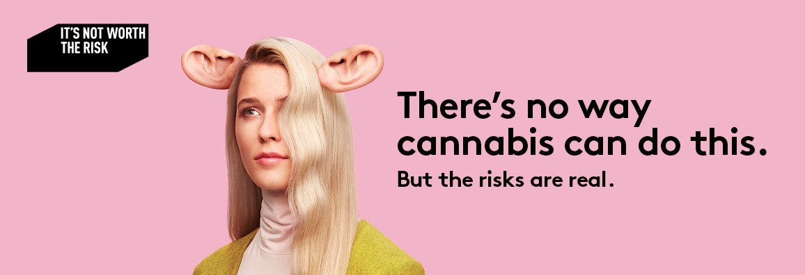 The images used in Quebec's new #cannabis awareness campaign are just bizarre | Amanda Siebert on Twitter