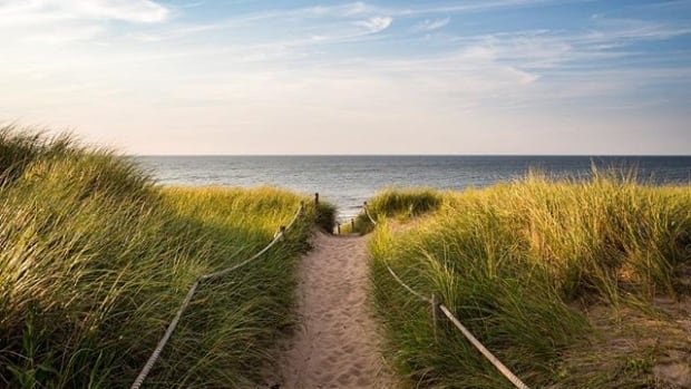 Where you can (and can't) use cannabis in national parks in Atlantic Canada | CBC News
