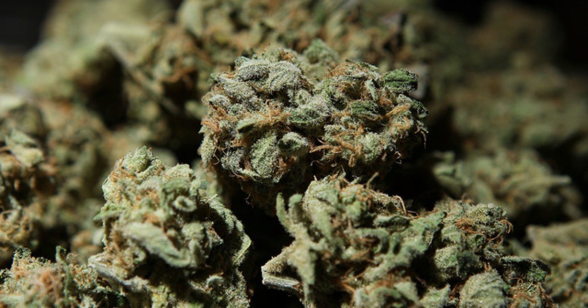 Colorado marijuana and driving study: Volunteers get paid to get high