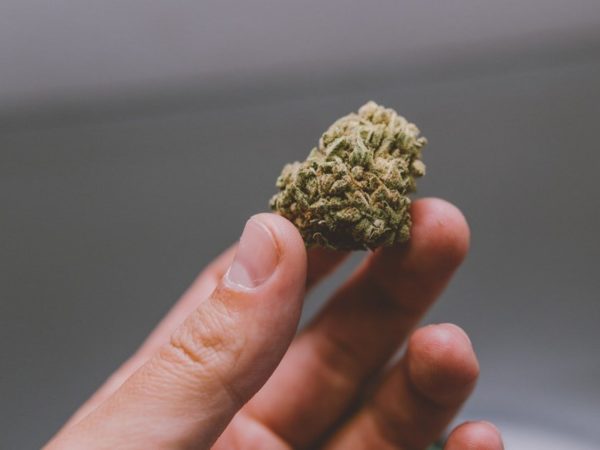 Daily marijuana use and highly potent weed linked to psychosis ... mmmmmmm...