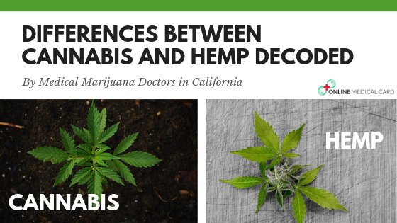 Differences Between Cannabis and Hemp