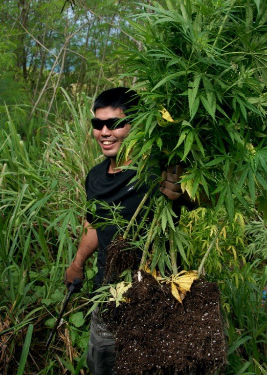 Guam set to legalize recreational marijuana