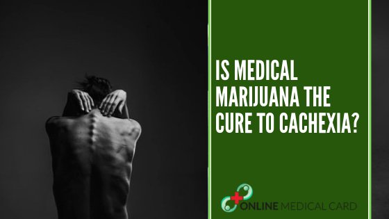 Is Medical Marijuana the Cure to Cachexia?