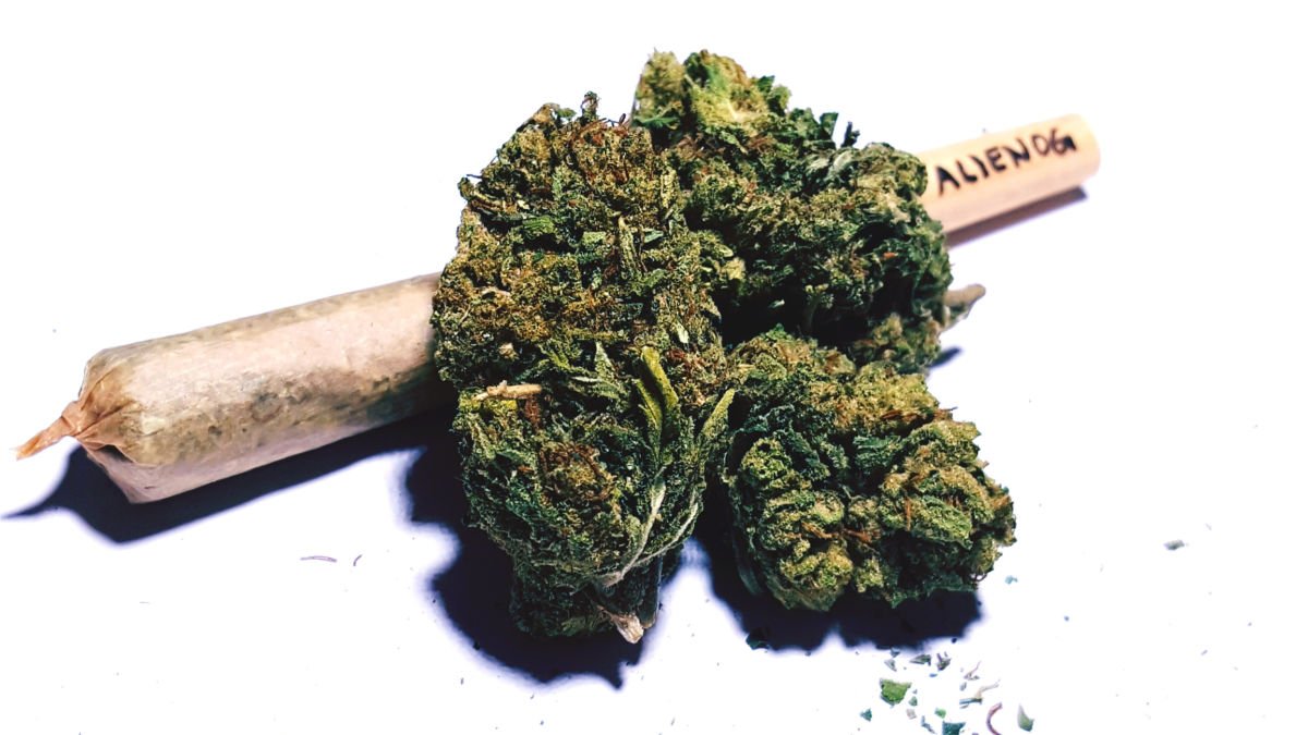 Latest Science Debunks Claim That Marijuana Significantly Harms Brain