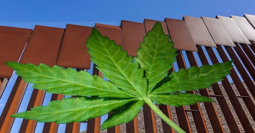 Legal Weed Did More to Stop Drug Smuggling Than Any Wall