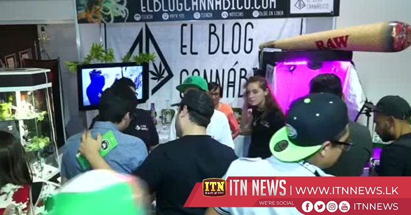 Marijuana goes mainstream at Mexico City festival