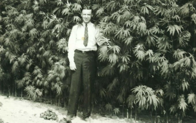 Reefer Madness, Du Pont, & the Marijuana Tax Act of 1939