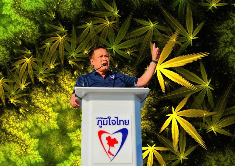 Thailand prepared to profit from the First Thai Cannabis Company