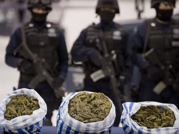 This Is Why Police Love Marijuana (and Hate Legalization)